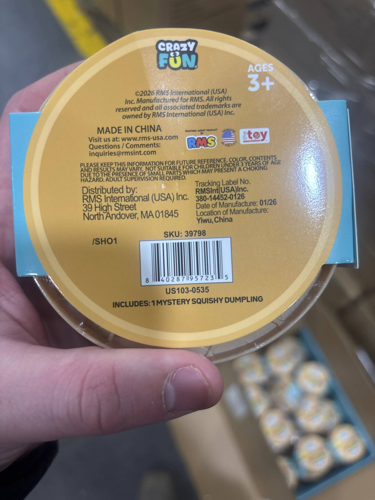 Crazy Fun™ Mystery Bao Bun