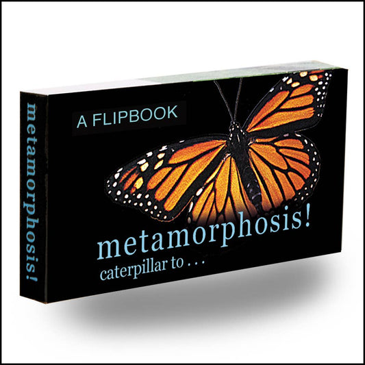 Butterfly Metamorphosis Flip book
