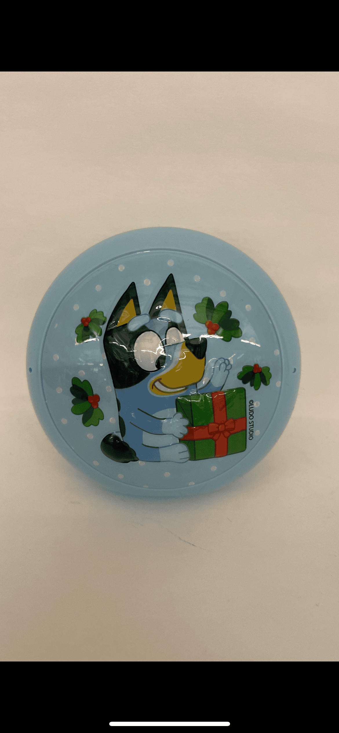 Bluey Molded/Printed Container With Candy