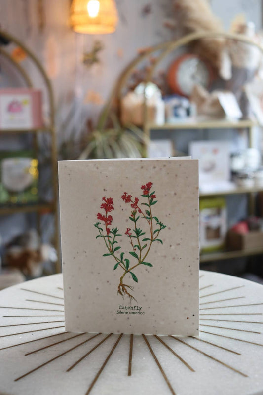 Plantable Wildflower Card | Eco Friendly Card | Catchfly