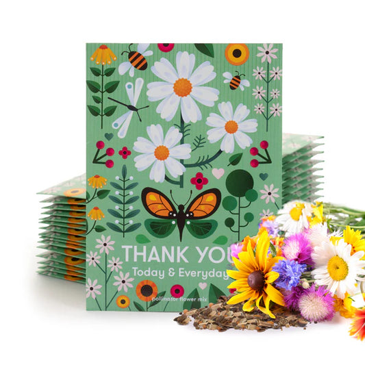 Thank You Today & Everyday Pollinator Mix