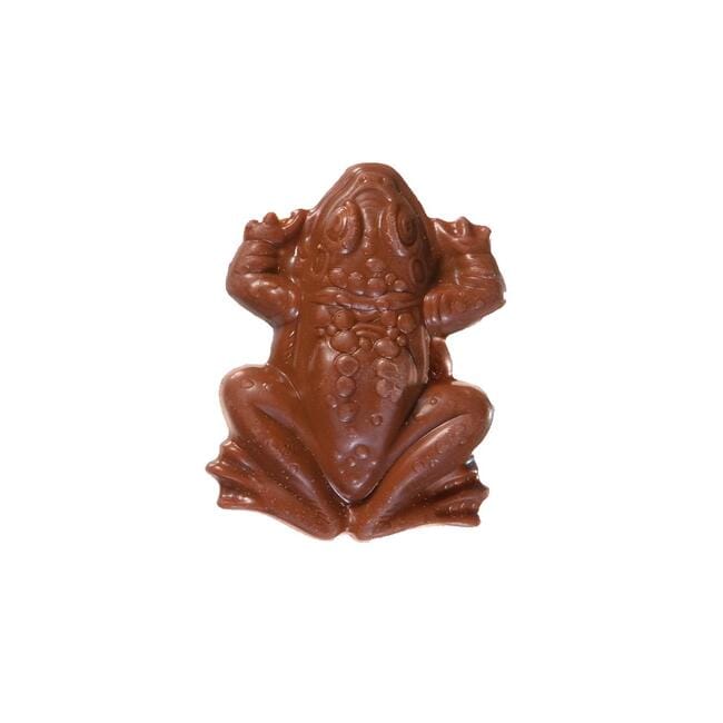 Harry Potter™ Chocolate Frog - 0.55oz