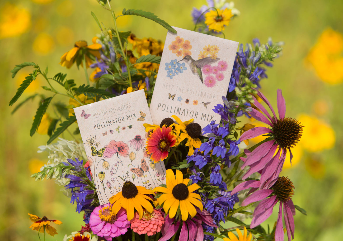 Pollinator Butterfly - Wildflower Mix Seed Packets