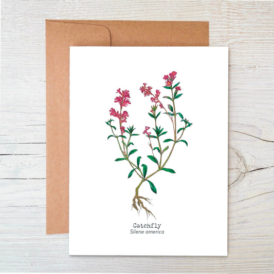 Plantable Wildflower Card | Eco Friendly Card | Catchfly