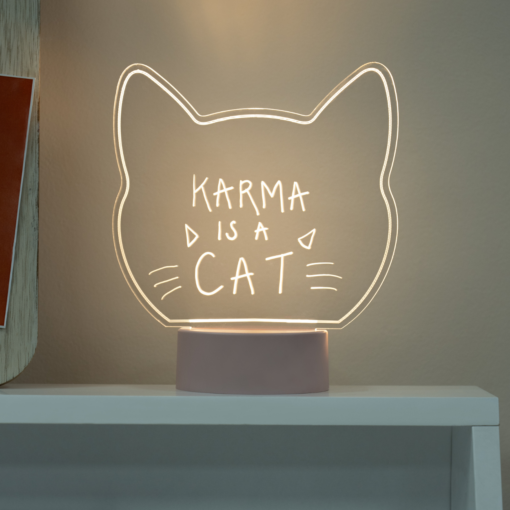 Light Up Acrylic Sign Cat
