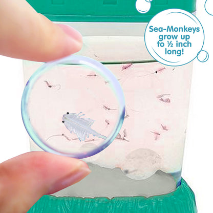 Sea-Monkey Ocean Zoo Kit