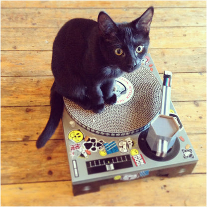 Cat Scratch DJ Decks - unleash your cat’s inner DJ