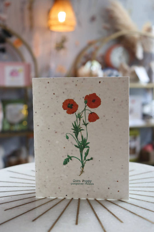 Plantable Wildflower Card | Eco Friendly Card | Corn Poppy