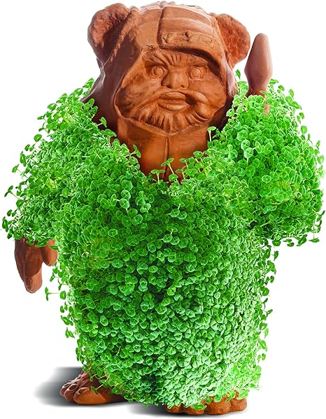 Chia Pet Star Wars Ewok Sweet Memories Vintage Tees Candy