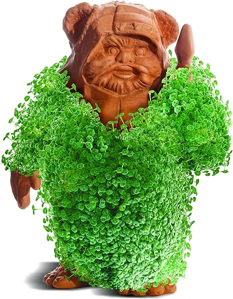 Chia Pet- Star Wars Ewok