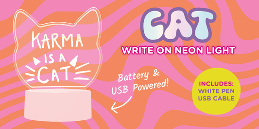 Light Up Acrylic Sign Cat