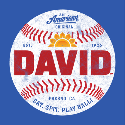 close up of david all american original baseball graphic