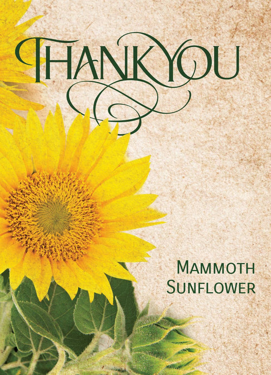 Thank You - Mammoth Sunflower