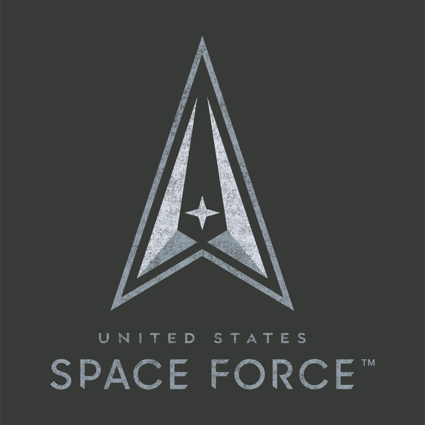 close up of space force vintage graphic logo