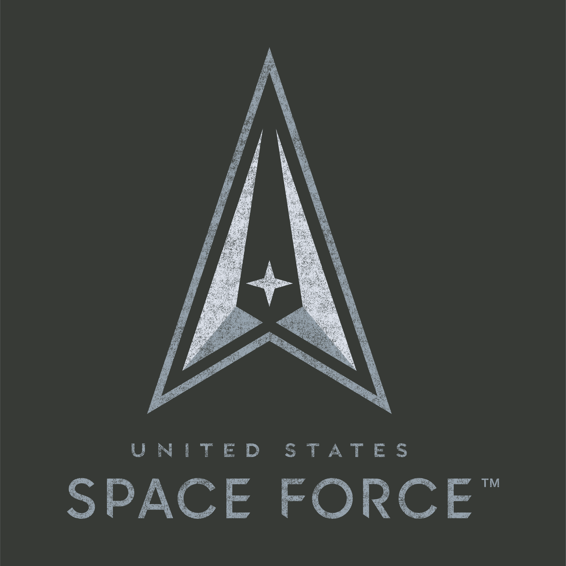 close up of space force vintage graphic logo