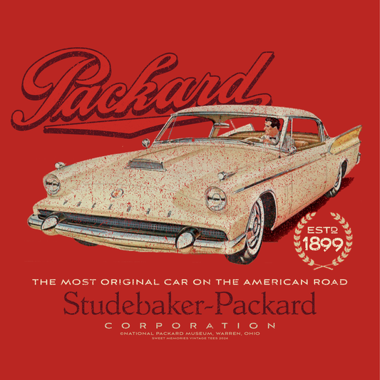 close up of studebaker packard hawk automotive graphic